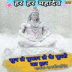 Sun Le Pukar Le Ke Phoolo Ka Haar