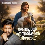 Thanalai Ennarikil Nizhalayi
