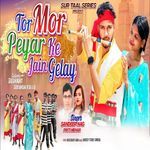Tor Mor Pyar Ke Jain Gelay