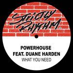 What You Need (Full Intention Radio Edit)
