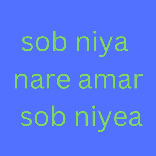 sob niya nare amar sob niyea