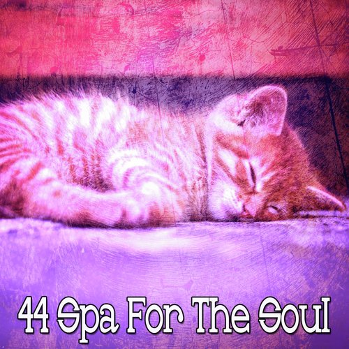 44 Spa for the Soul