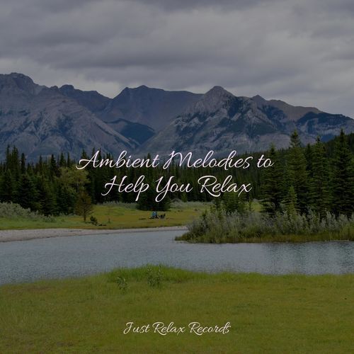 Ambient Melodies to Help You Relax