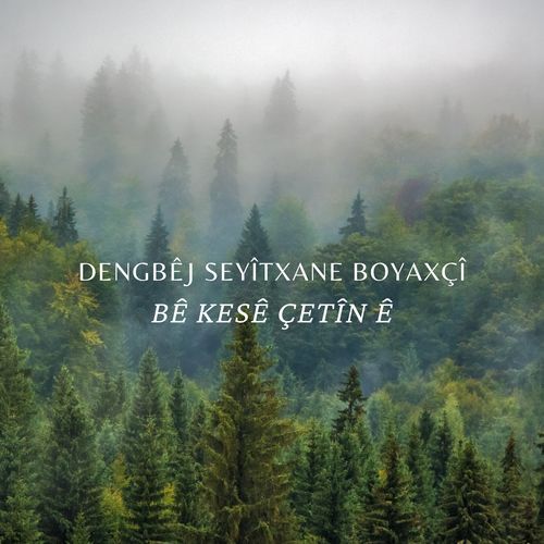 Bê Kesê Çetîn cover art