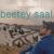 Beetey Saal