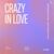 Crazy In Love - Extended Mix