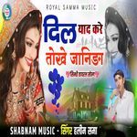 Dil Yaad Kre Tokhe Janida