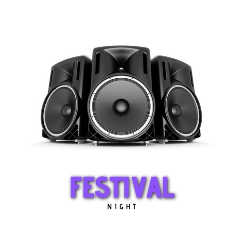 Festival Night_poster_image