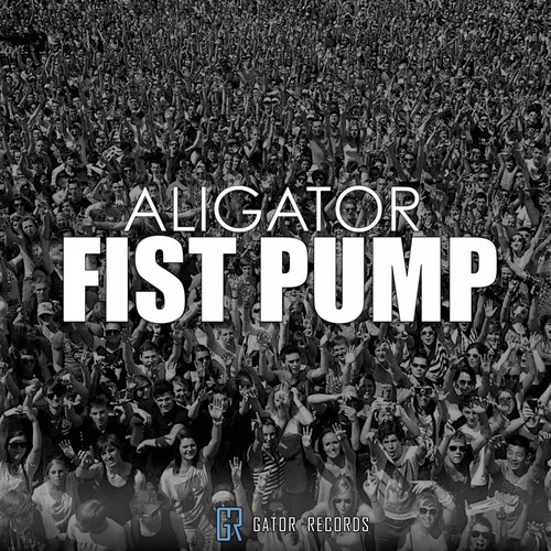 Fist Pump (Clean Radio Mix)