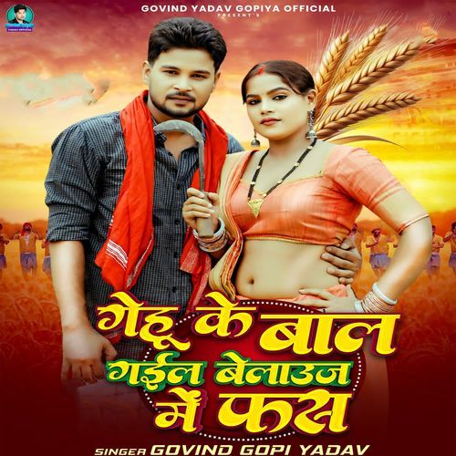 Gehu Ke Bal Gail Belauj Me Fas