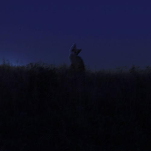 Goodbye, Misa (Slowed)