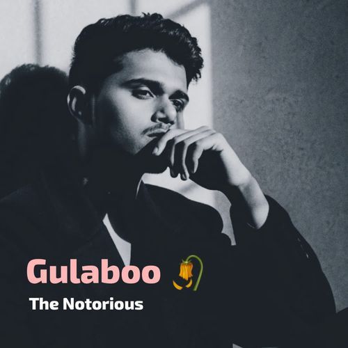 Gulaboo