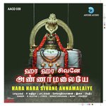 Annamalaiyar Potri