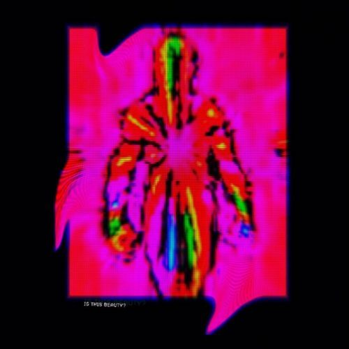 E.NORTON IN AMERICAN X