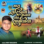 Mara Dwarika Na Nath Sheth Shamaliya