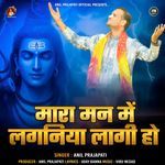 Mara Manme Lagniya Lagi Ho