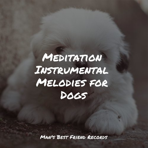 Meditation Instrumental Melodies for Dogs