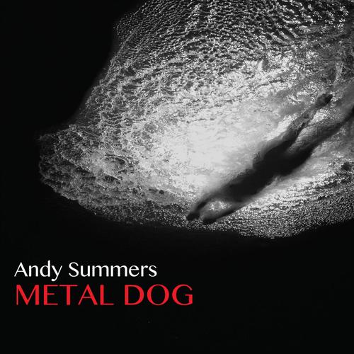 Metal Dog_poster_image