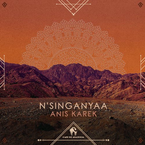 N'singanyaa (Rialians on Earth Remix) cover art