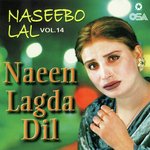 Naeen Lagda Dil, Vol. 14