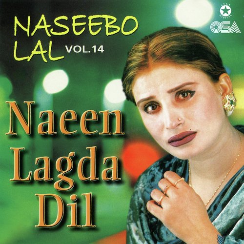 Naeen Lagda Dil, Vol. 14_poster_image