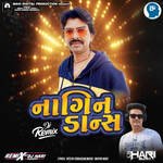 Nagin Dance Remix By Dj Hari