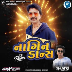 Nagin Dance Remix By Dj Hari