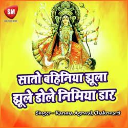 Sato Re Bahinya Jhula Jhule Dole Nimiya Daar