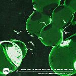 Set Me Free (feat. MAX) (MorganJ Remix)