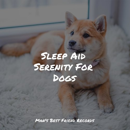 Sleep Aid Serenity For Dogs