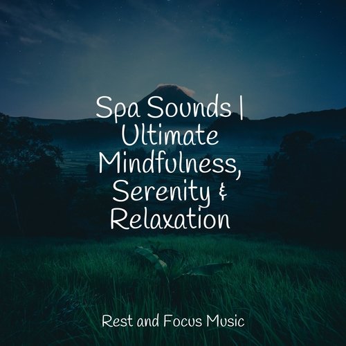 Spa Sounds | Ultimate Mindfulness, Serenity & Relaxation