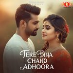 Tere Bina Chand Adhoora