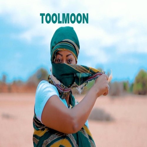 Toolmoon (feat. Hirut)