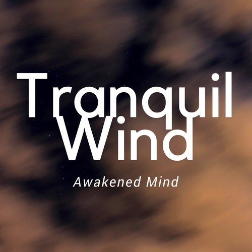 Tranquil Wind: Awakened Mind, Deep Regeneration, Quiet Meditation and Spiritual Renewal, Peaceful Contemplation
