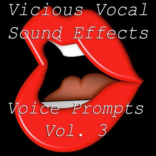 Vicious Vocal Sound Effects 15 - Voice Prompts Vol. 3
