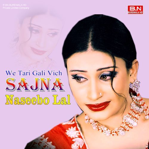 We Tari Gali Vich Sajna