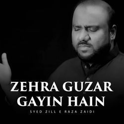 Zehra Guzar Gayin Hain-LxJceh5nRgU