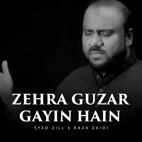 Zehra Guzar Gayin Hain