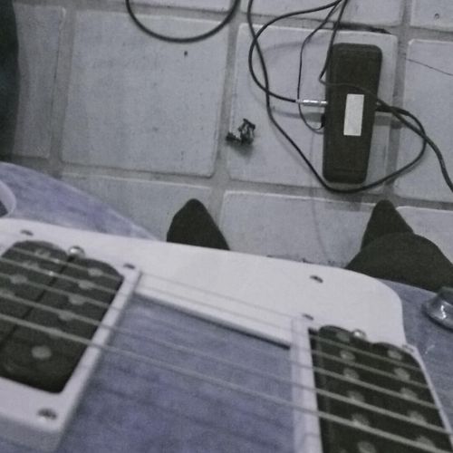 gray (rough) cover art