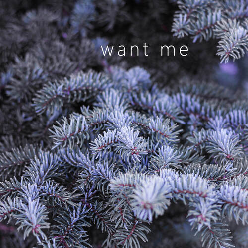 want me_poster_image