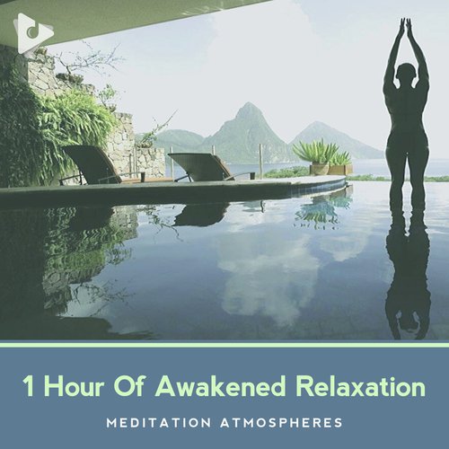 Meditation Group cover art