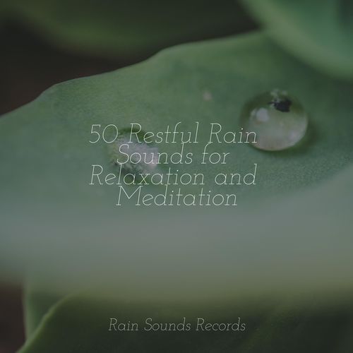 50 Restful Rain Sounds for Relaxation and Meditation