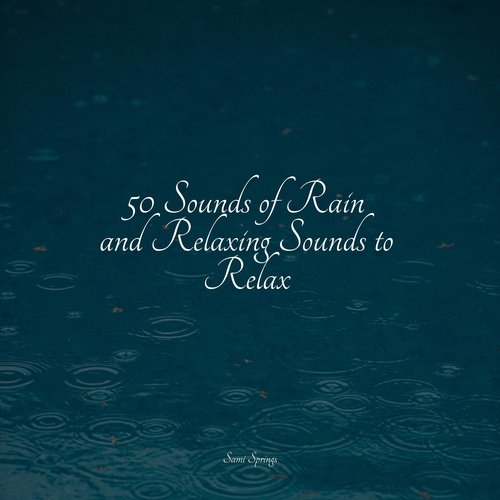 50 Sounds of Rain and Relaxing Sounds to Relax_poster_image