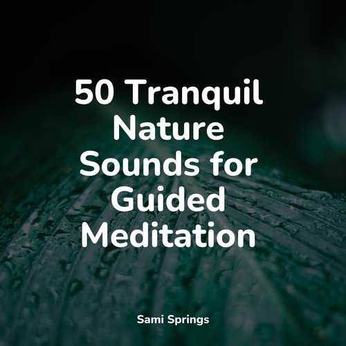 50 Tranquil Nature Sounds for Guided Meditation_poster_image