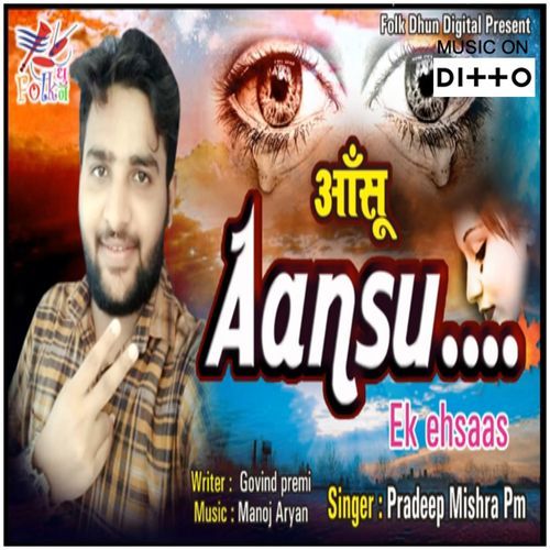 Dil Chura Le Gaye cover art
