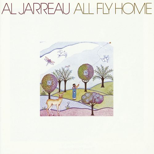 All Fly Home_poster_image