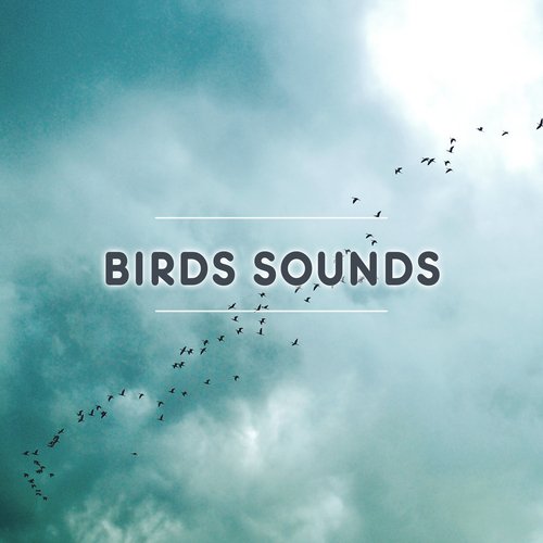 Pure Piano cover art