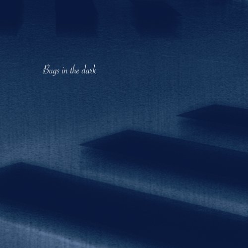 Bugs in the dark cover art