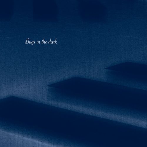Bugs in the dark cover art