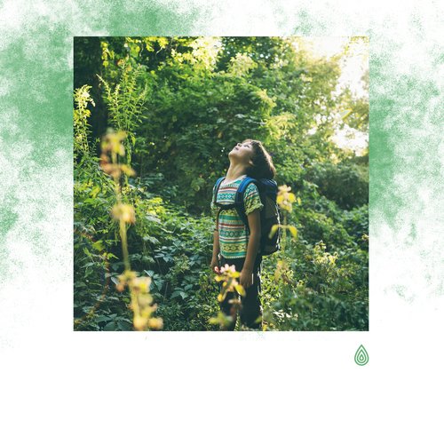 Chansons de berceuse rafraîchissantes : Les doux rêves des enfants
